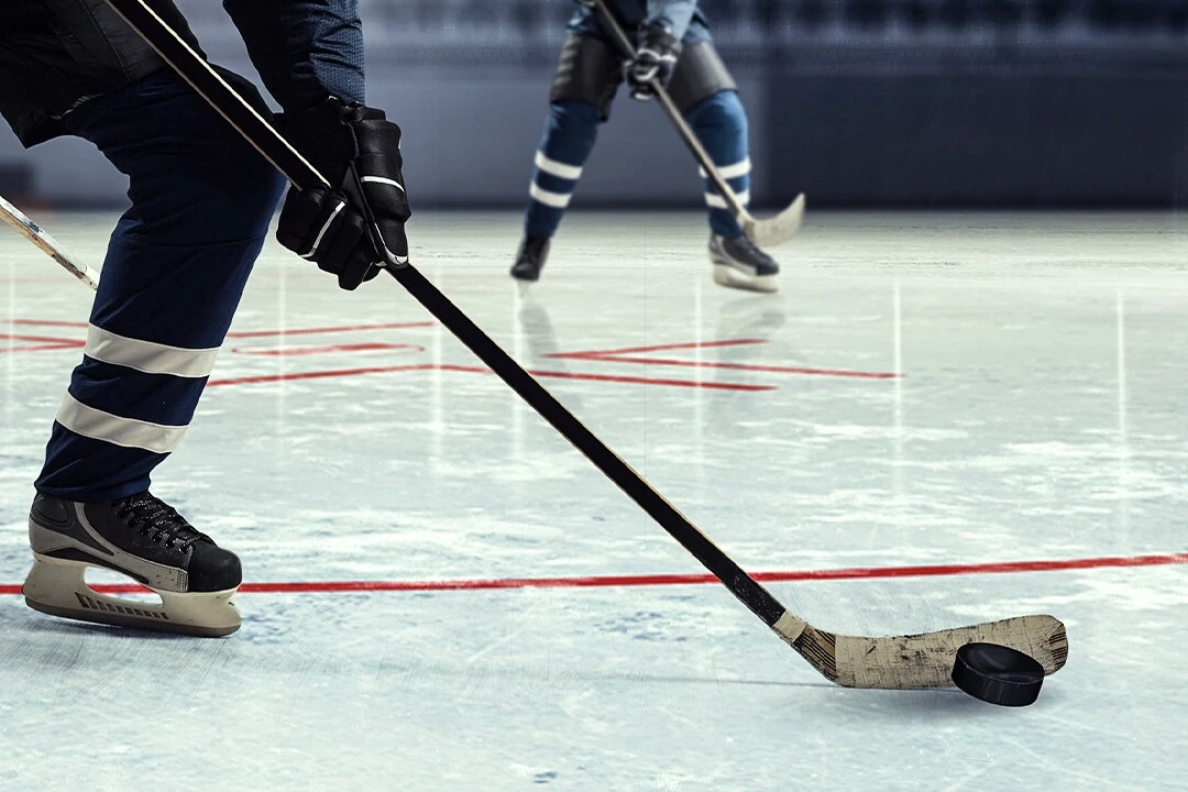 Hockey Sticks Sales Store 27 Hockey Sticks Sales Store -Hockey Sticks Sales Store 98999